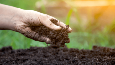 Enhancing Soil Health