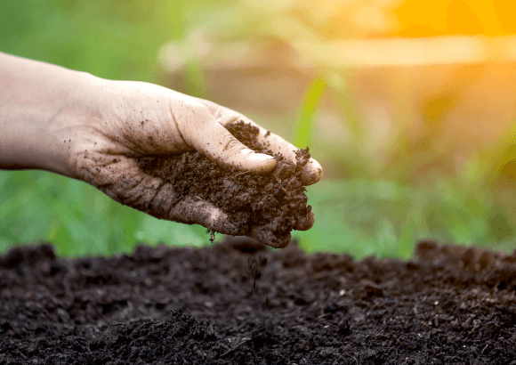 Enhancing Soil Health