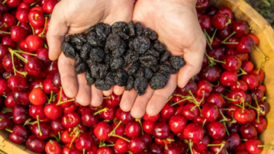 Tips to Store Dried Cranberries for Long Shelf Life: Tips for Online Shoppers