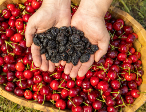 Tips to Store Dried Cranberries for Long Shelf Life: Tips for Online Shoppers