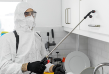 Why Charlotte Metro Residents Are Switching to Recurring House Cleaning and Pest Control Services More Often