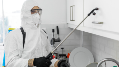 Why Charlotte Metro Residents Are Switching to Recurring House Cleaning and Pest Control Services More Often