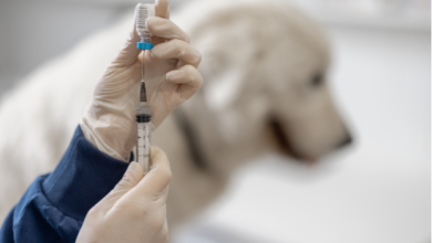 Animal Vaccinations
