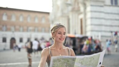 bolly4u wiki content overview