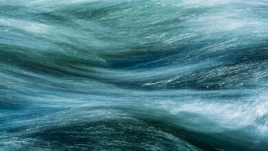 cam5net streaming services overview