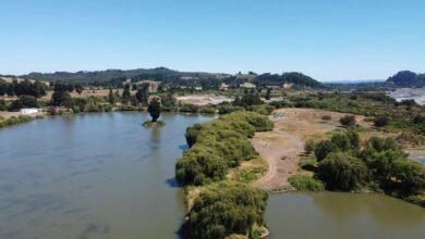 celeb masta live overview