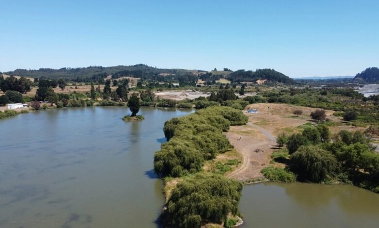 celeb masta live overview