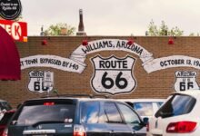 audience expansion strategy plan