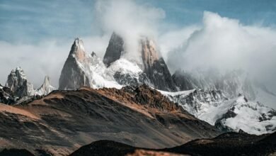 conversion roi optimization strategy