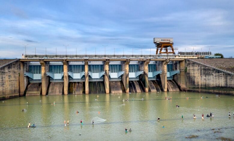 digital loyalty program development