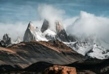 roi conversion optimization strategy