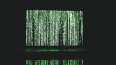 apex matrix framework overview
