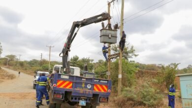 apex relay dock aurora