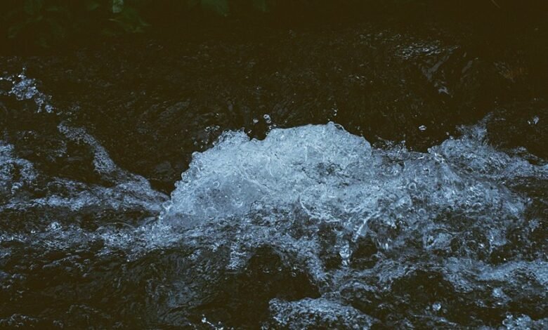 omega stream momentum analysis