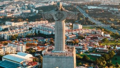 verified safety lookup result