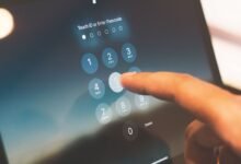 phone number with digits 6988203281