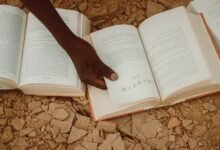 significance of 0973 chapter 01